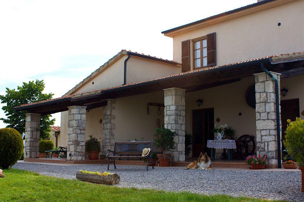 Гостевой дом Agriturismo Sant' Ansano Кастильоне-д'Орчия Экстерьер фото