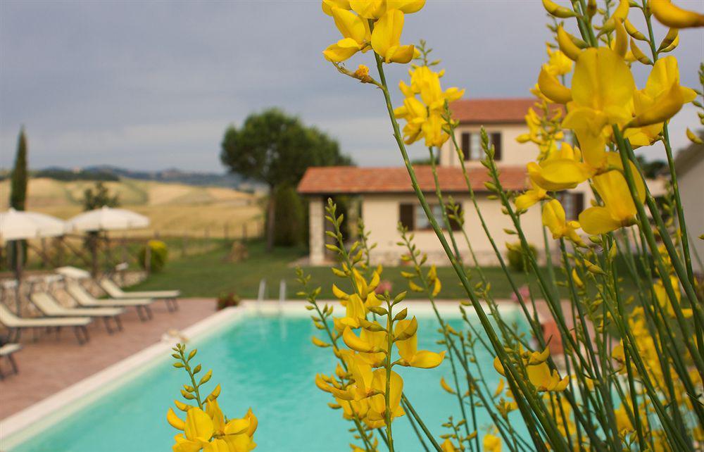 Гостевой дом Agriturismo Sant' Ansano Кастильоне-д'Орчия Экстерьер фото